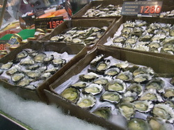 DSCF2509.jpg