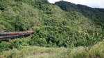 DSC_1027.JPG