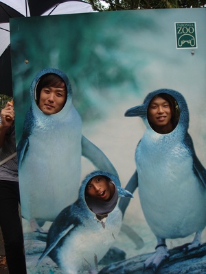 penguin1.JPG